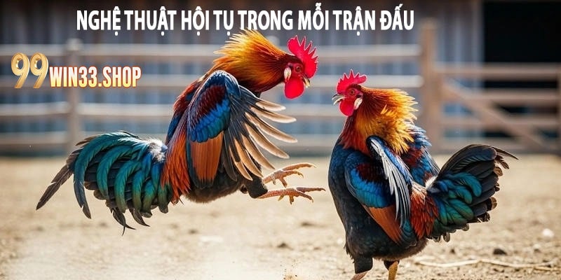 Nghệ Thuật Hội Tụ Trong Mỗi Trận Đấu