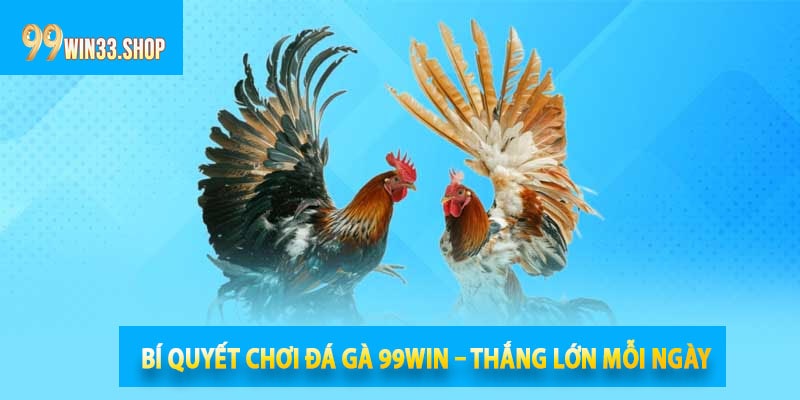 Bí Quyết Chơi Đá Gà 99win – Thắng Lớn Mỗi Ngày