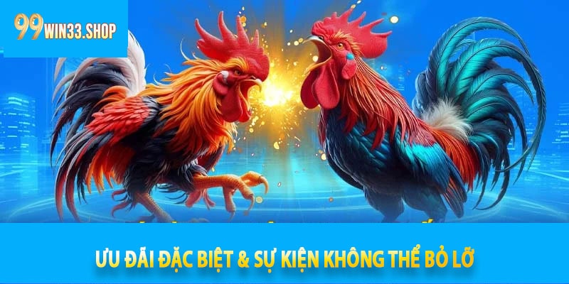 Ưu Đãi Đặc Biệt & Sự Kiện Không Thể Bỏ Lỡ